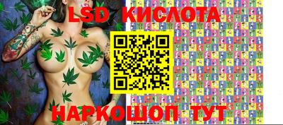 крисы Бийск
