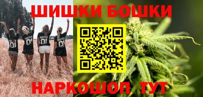 крисы Бийск