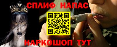 крисы Бийск