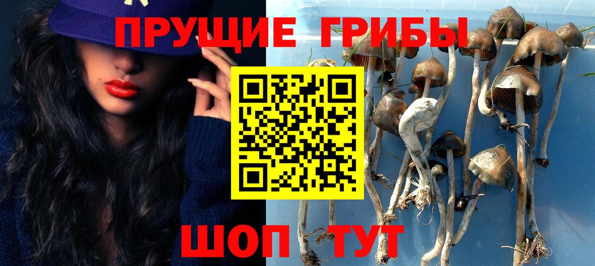 Псилоцибиновые грибы Magic Shrooms  Вход с VPN  Карачаевск 