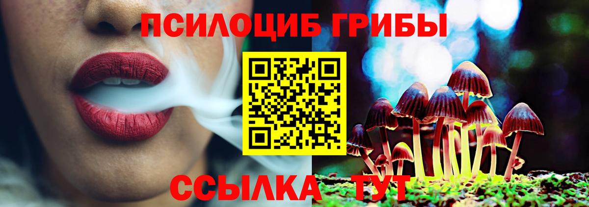 Галлюциногенные грибы Psilocybine cubensis Карачаевск